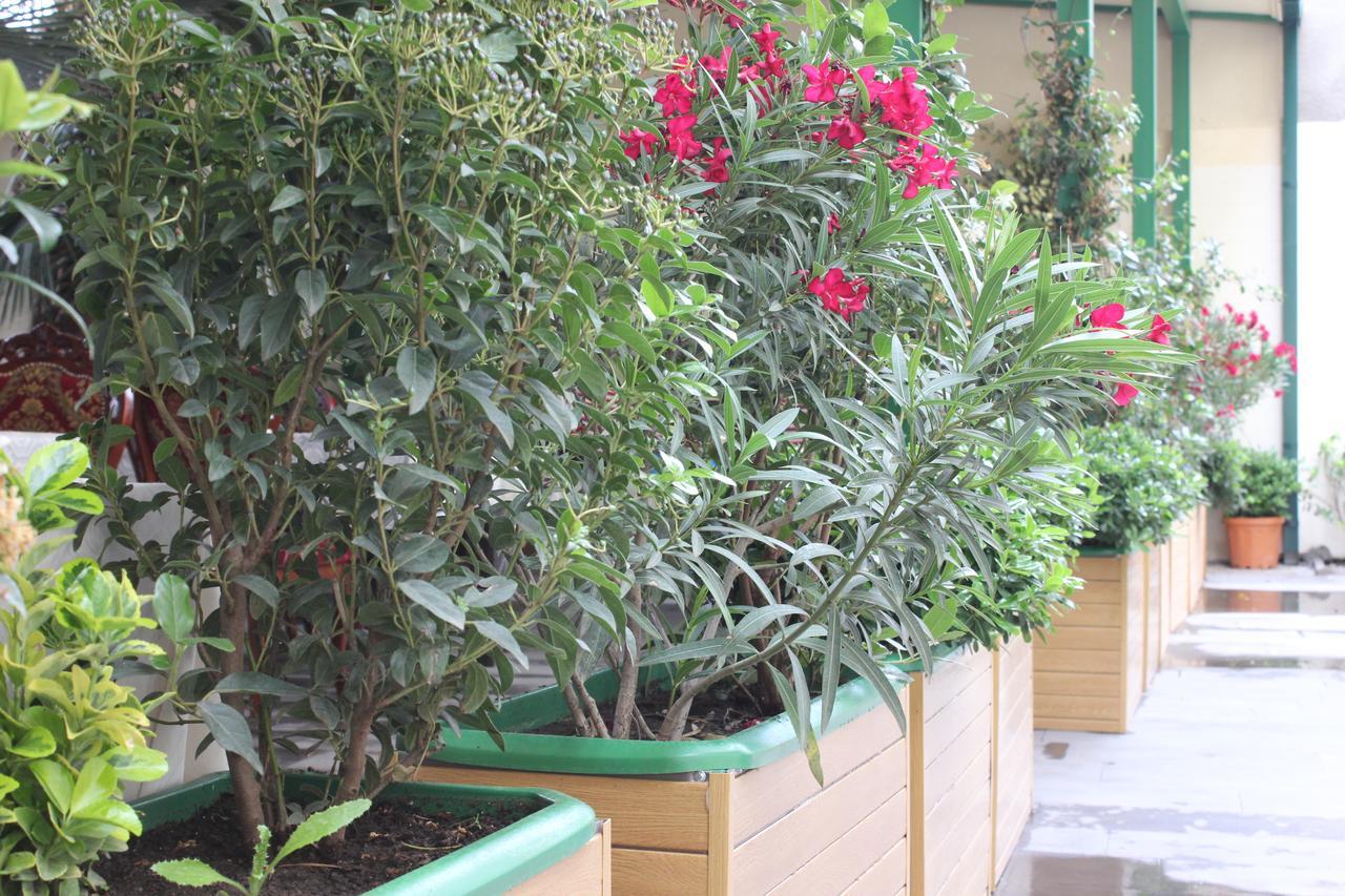 Vedzisi Garden Hotel Тбилиси Екстериор снимка