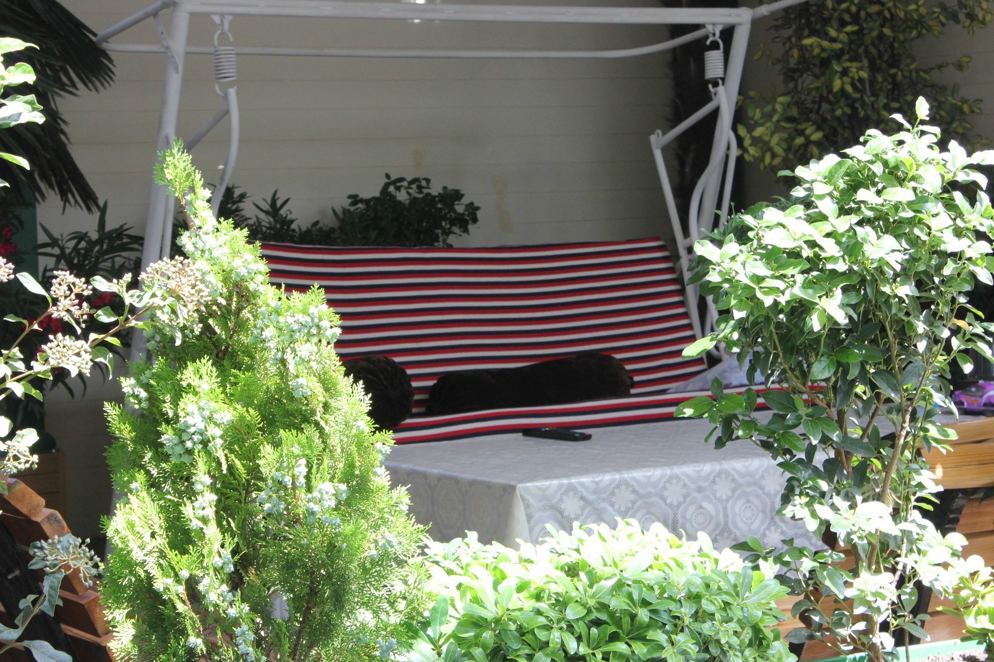 Vedzisi Garden Hotel Тбилиси Екстериор снимка
